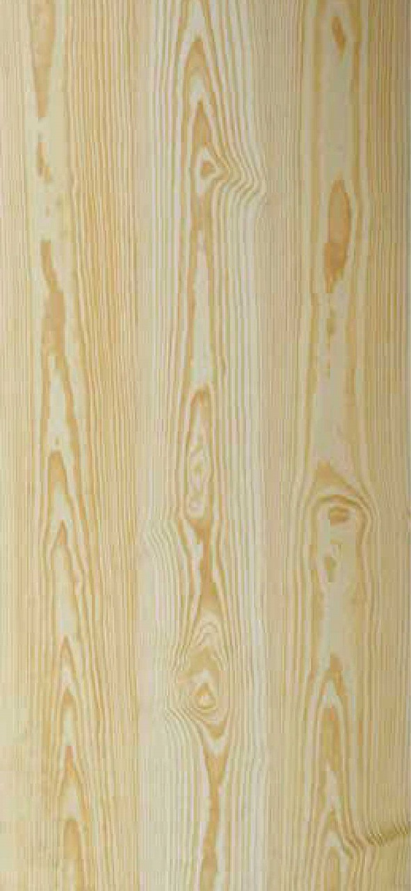 ビッグイエローパイン